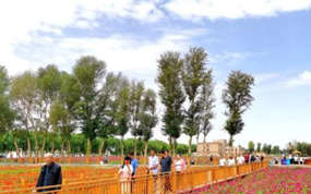 ��Ȫ���ݡ��Ի�Ϊý���ں�������Ρ����˾����Ρ����ο�