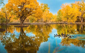 ��Ȫ�н����ض�ٴ�ȫ���ƽ�ʡ��ȫ������ʾ������������