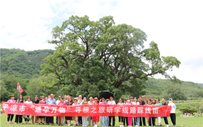 ���������Ѱ����ѧ�����������в�������Ӱ