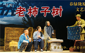 话剧《老柿子树》述说革命年代家国情怀