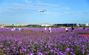 ���������ٸۻ����οͷ�����ʩ������Ӫ