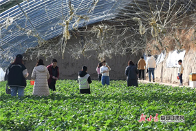 乡村游受热捧,牛年开启“火炎焱”模式