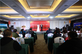 һֽ�ƽ��顡�����Ļ�������Ƭ�������ش��