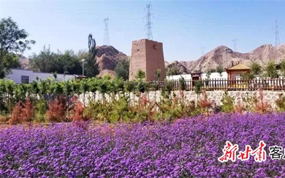 ��������壺ũ���ںϡ����Ӻ��