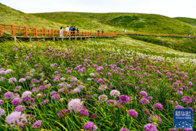 �Ͻڣ������Ԫ�ء��ӳ֣������վ��á�����