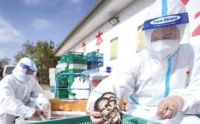 �ּ�������컯���������������Ļ��г����򸴹�����