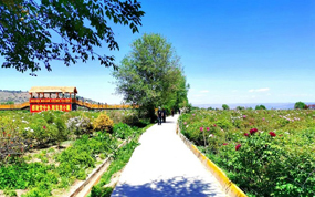 ���ģ�������ĵ���Ļ���ҵ԰��·��ѡ¤ԭ������ũ��·��