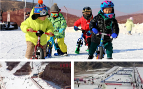 ���¹����ꡡȺ���ַ���