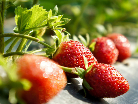 �������Ρ�����Ͽժ��ݮһ����