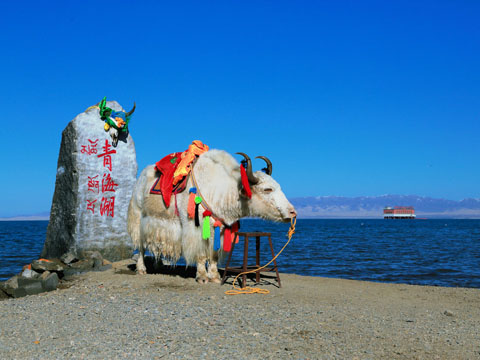 �ຣ��-����ɽ-�����¶�����