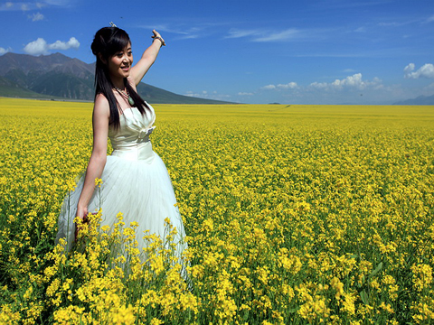 �ຣ��-��Դ�Ͳ˻�������