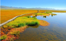 �����ǡ���ľ�¡����ʴ��ԭ����çʪ��3����