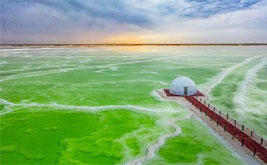 Y�ߣ�����-��Ҵ-������-�ػ�-����-������κ�-�迨-�ຣ��-������8����