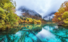 ����-����-��կ��-��������������