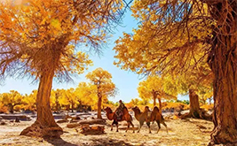 ����-��Ҵ-������������-������5����