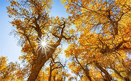 ����-��Ҵ-������������-������-�ػ�7����